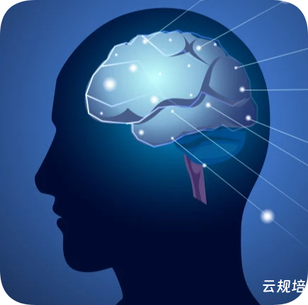 神经内科
