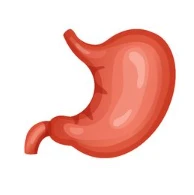 消化科